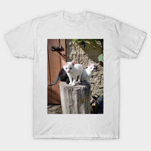 Three siblings T-Shirt by Gourmetkater